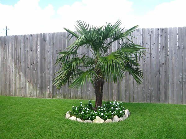 Gray Stone Fence — Pearland, TX — Fence Keeper