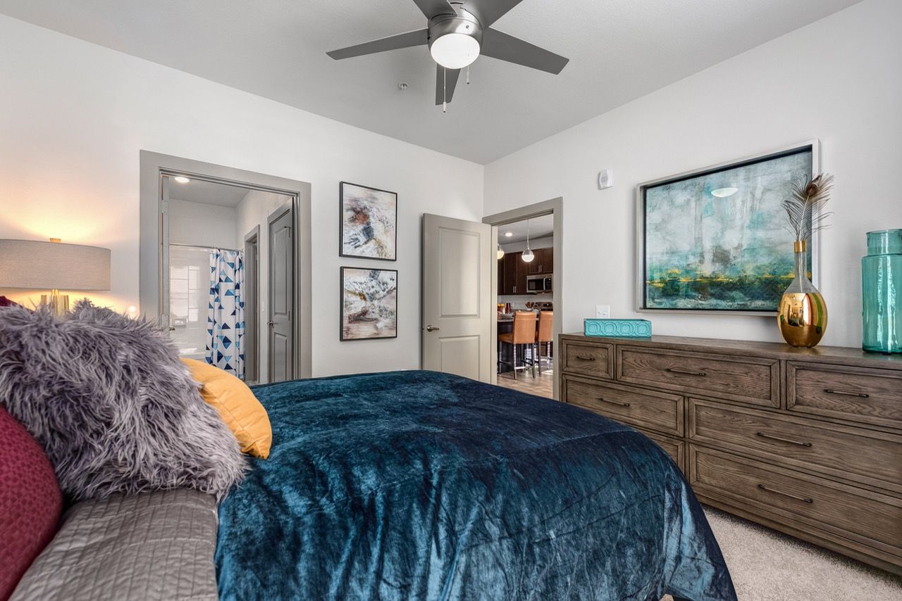 Bedroom with blue velvet bedspread, ceiling fan, and doorway to the bathroom beside a wooden dresser.