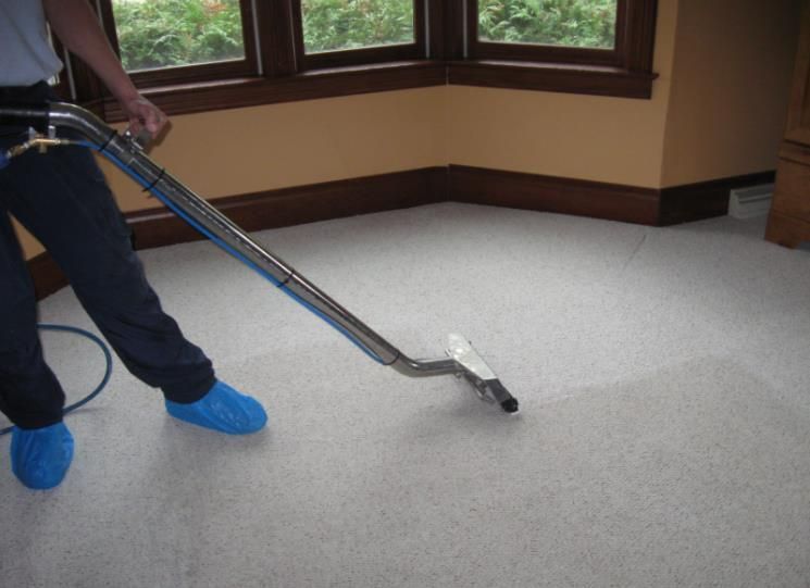 Woman efficiently cleaning the floor using a spray mop