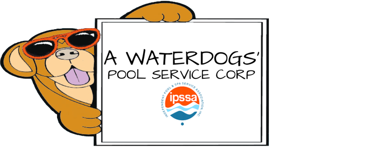 A cartoon dog is holding a sign that says a waterdogs pool service corp.