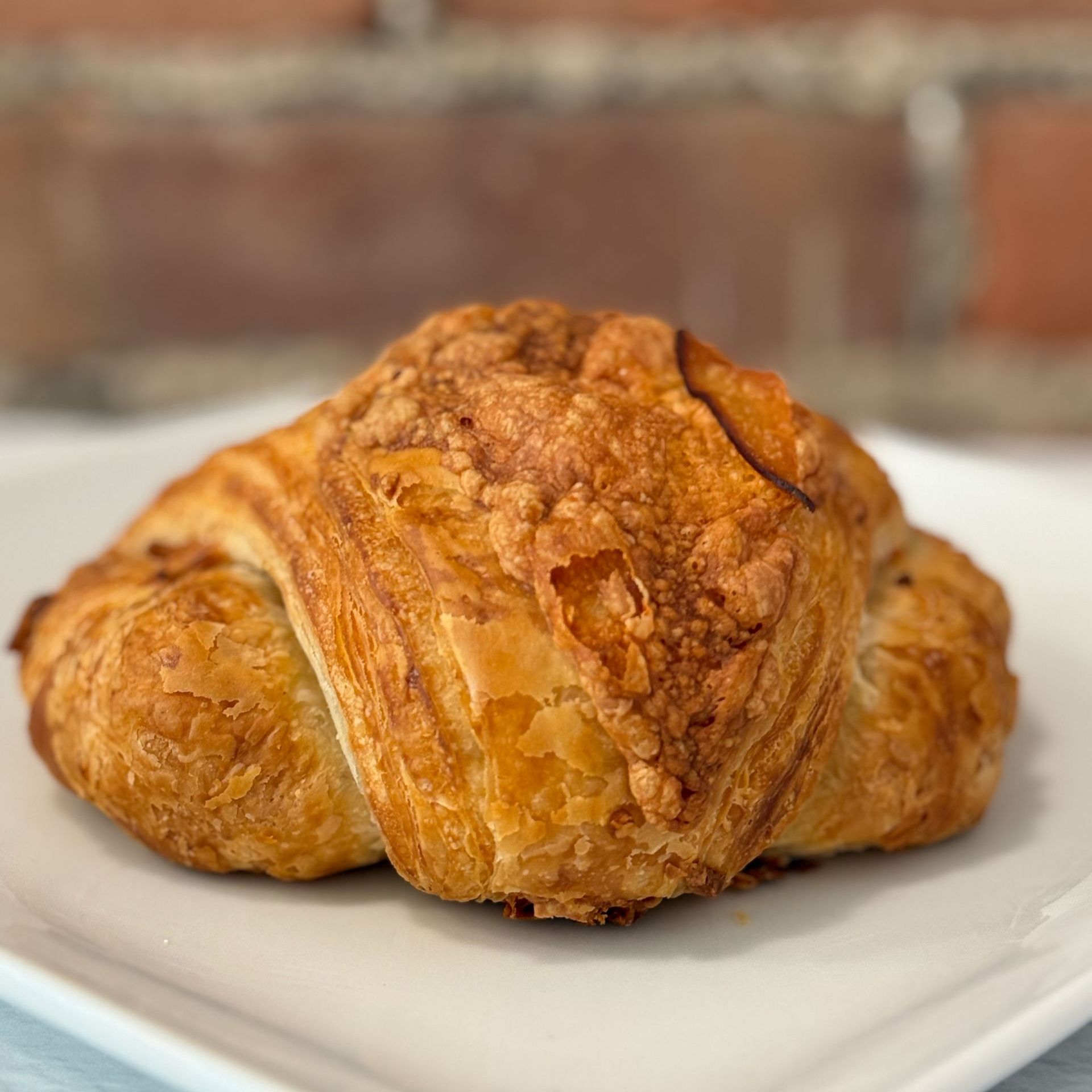 A close up of a croissant on a white plate.