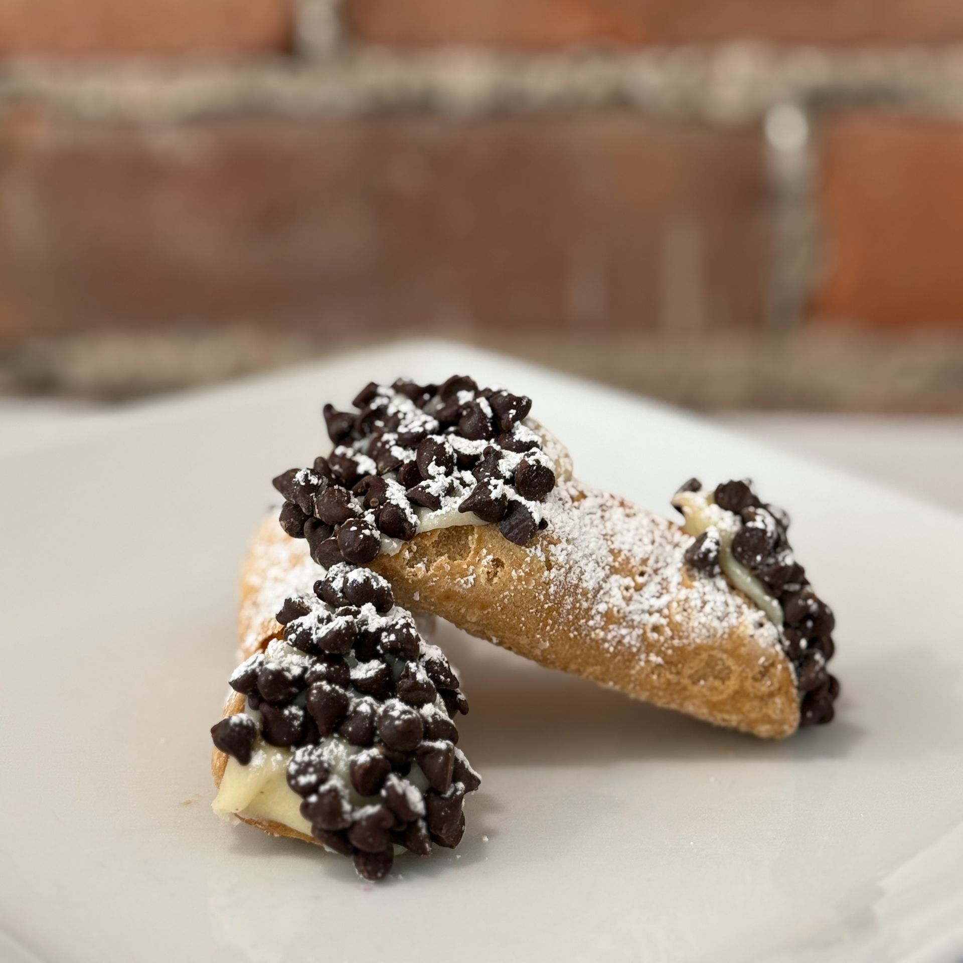 Two cannoli with chocolate chips and powdered sugar on a white plate.