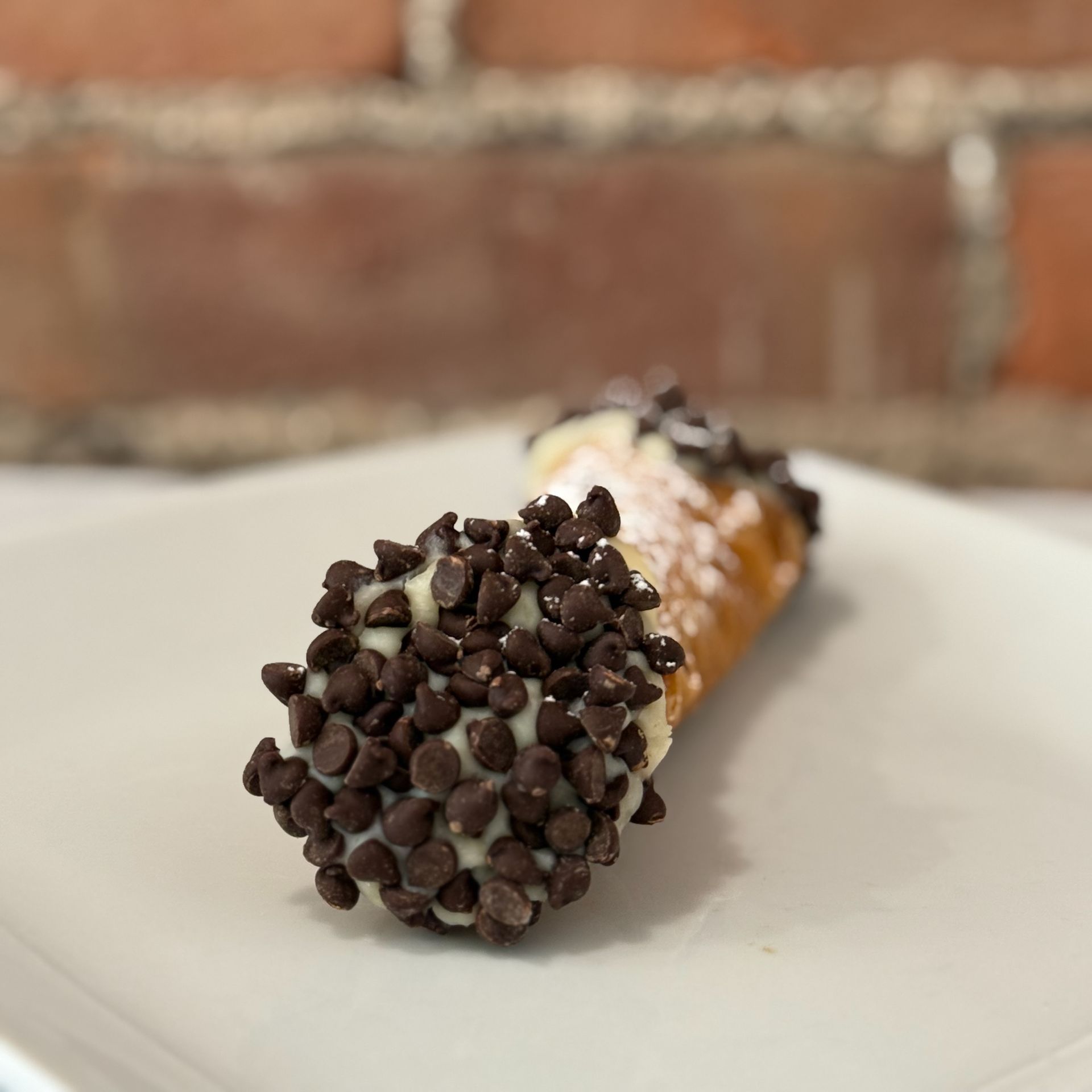 A close up of a cannoli with chocolate chips on a white plate
