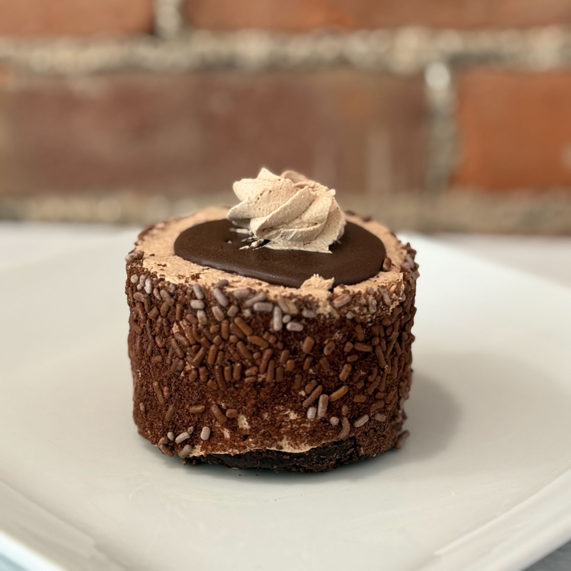 A small chocolate dessert with whipped cream and sprinkles on a white plate
