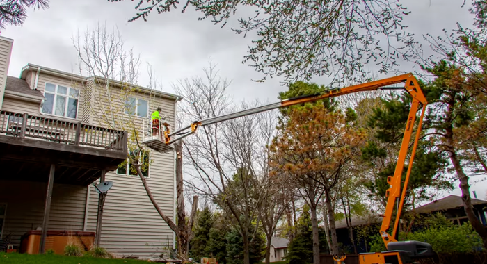 a picture of a tree service worker in a lift that is removing a tree that is located on the backside of a home