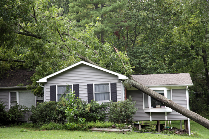 A tree that has fallen on a home after a storm event.