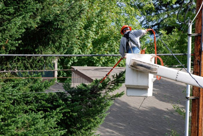a tree service worker in a bucket truck lift using a pole saw to trim branches away from utility lines