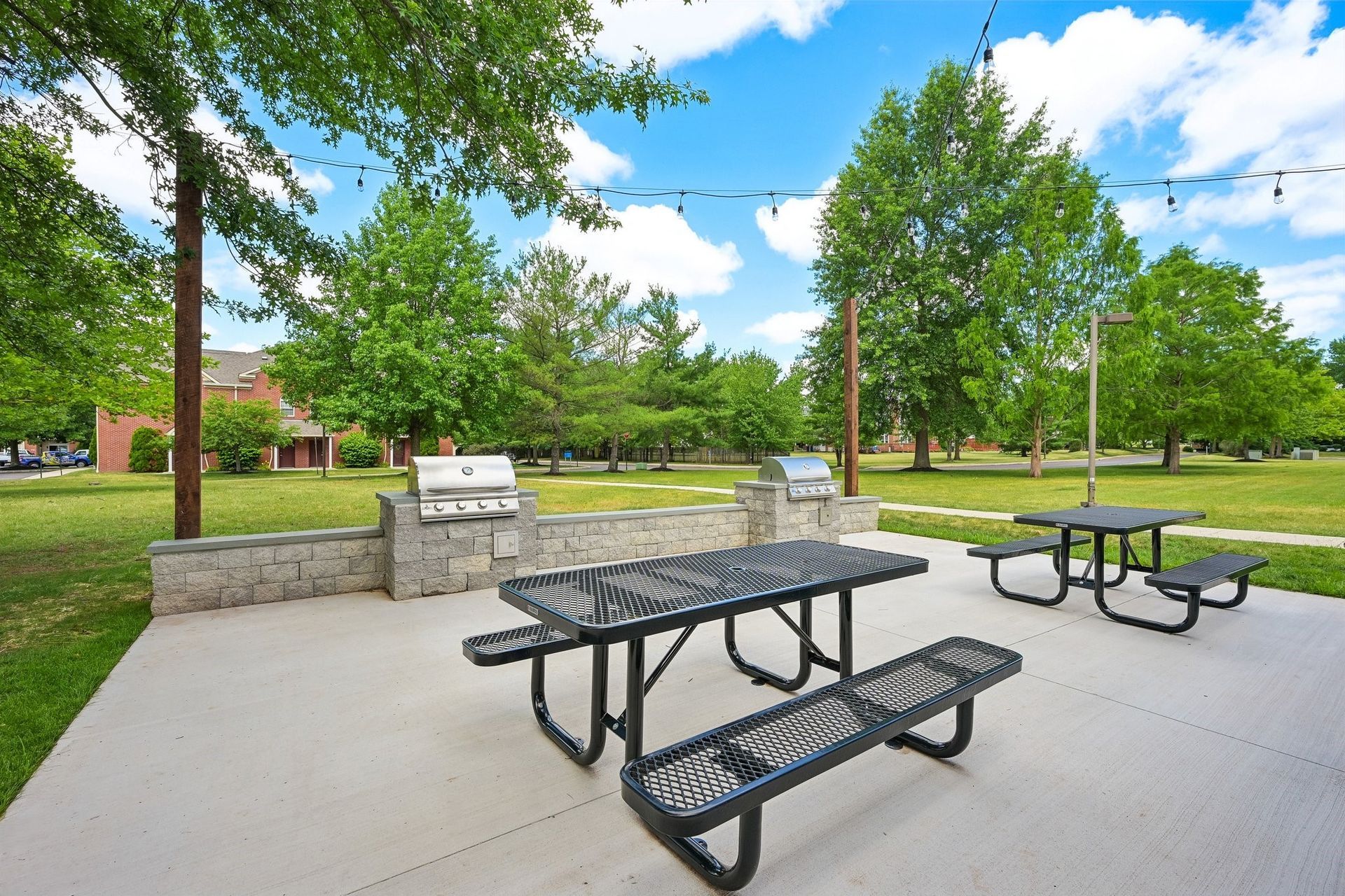 Park picnic area with metal tables, grills, and trees on a sunny day