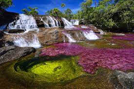 Conoce el río más hermoso del mundo “Caño Cristales”