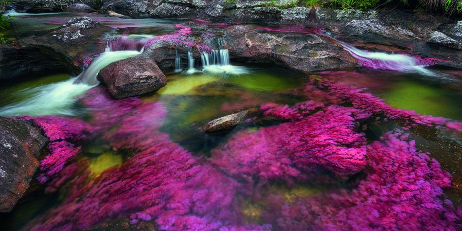 cuando ir a caño cristales