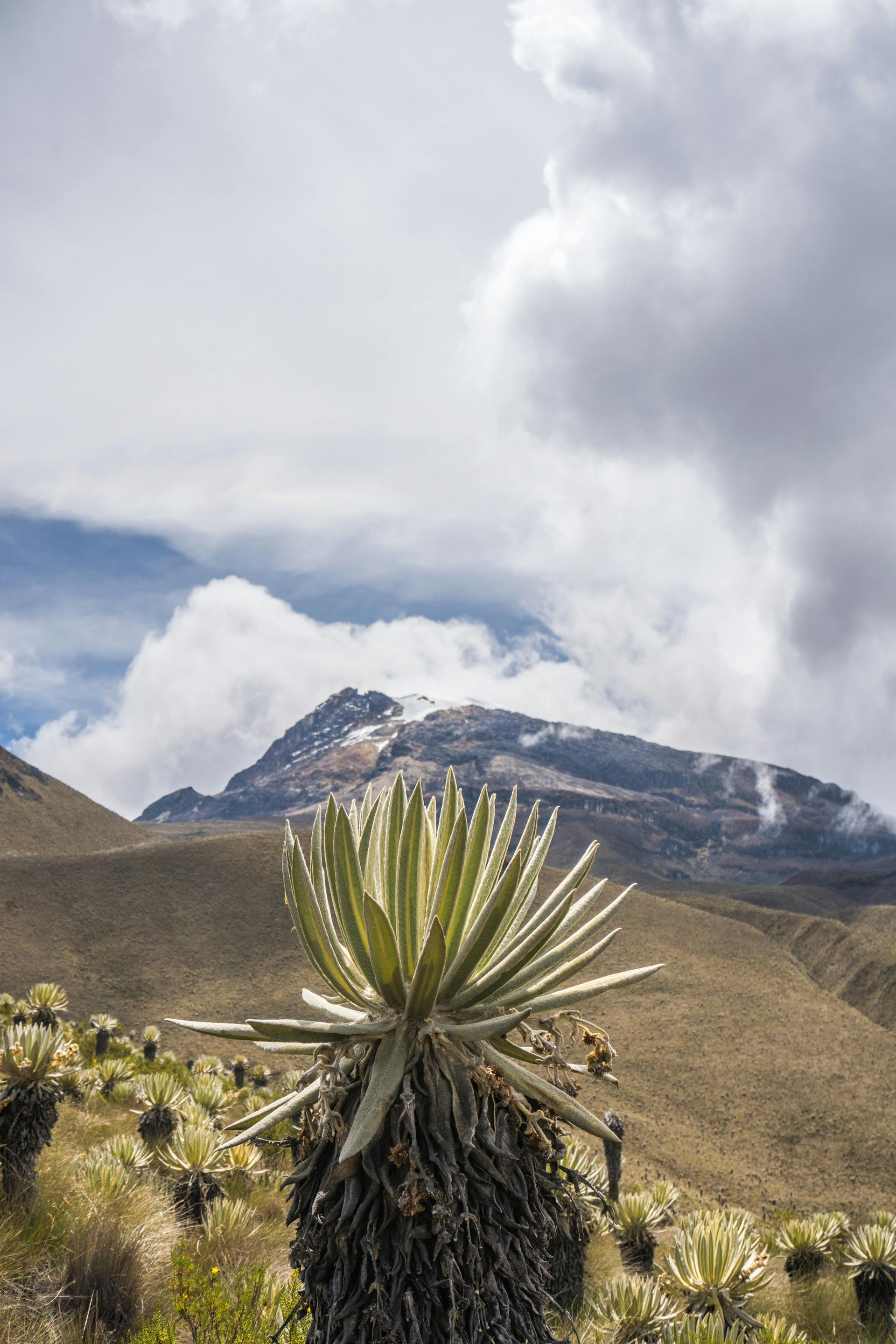 Nevado del Tolima, riesgos de hacer la cumbre