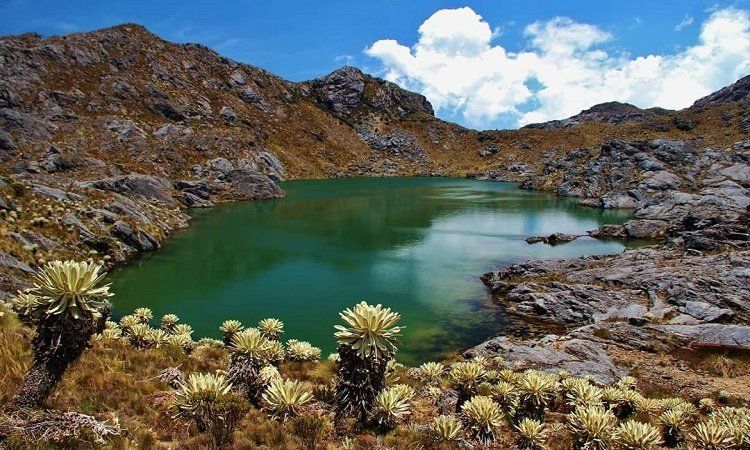 Paramo de Santurbán