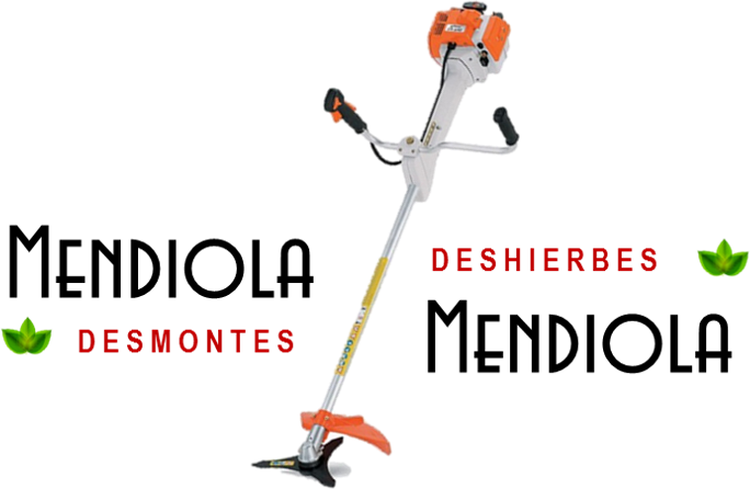 MENDIOLA DESMONTES  