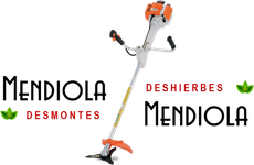 MENDIOLA DESMONTES  