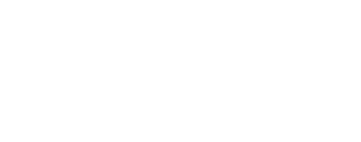 Constellation Tax logo