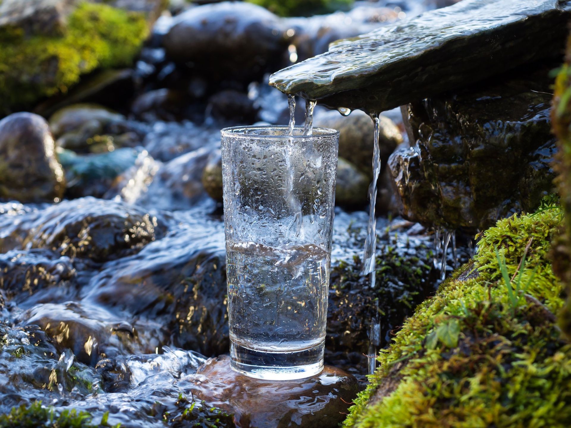 A glass of water is being poured into a stream of water.