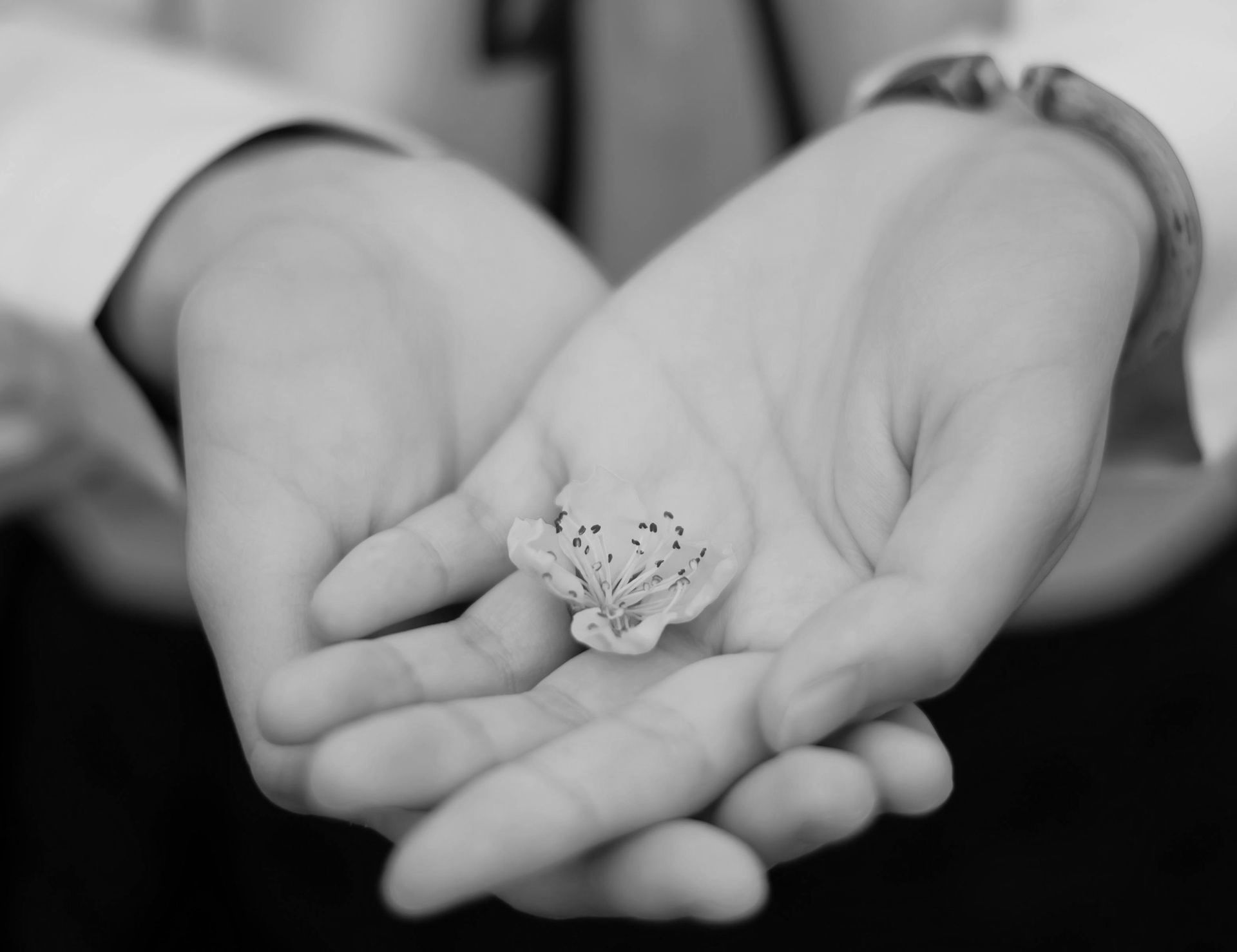 Handen om een ​​tere witte bloem. Zwart-witfoto.