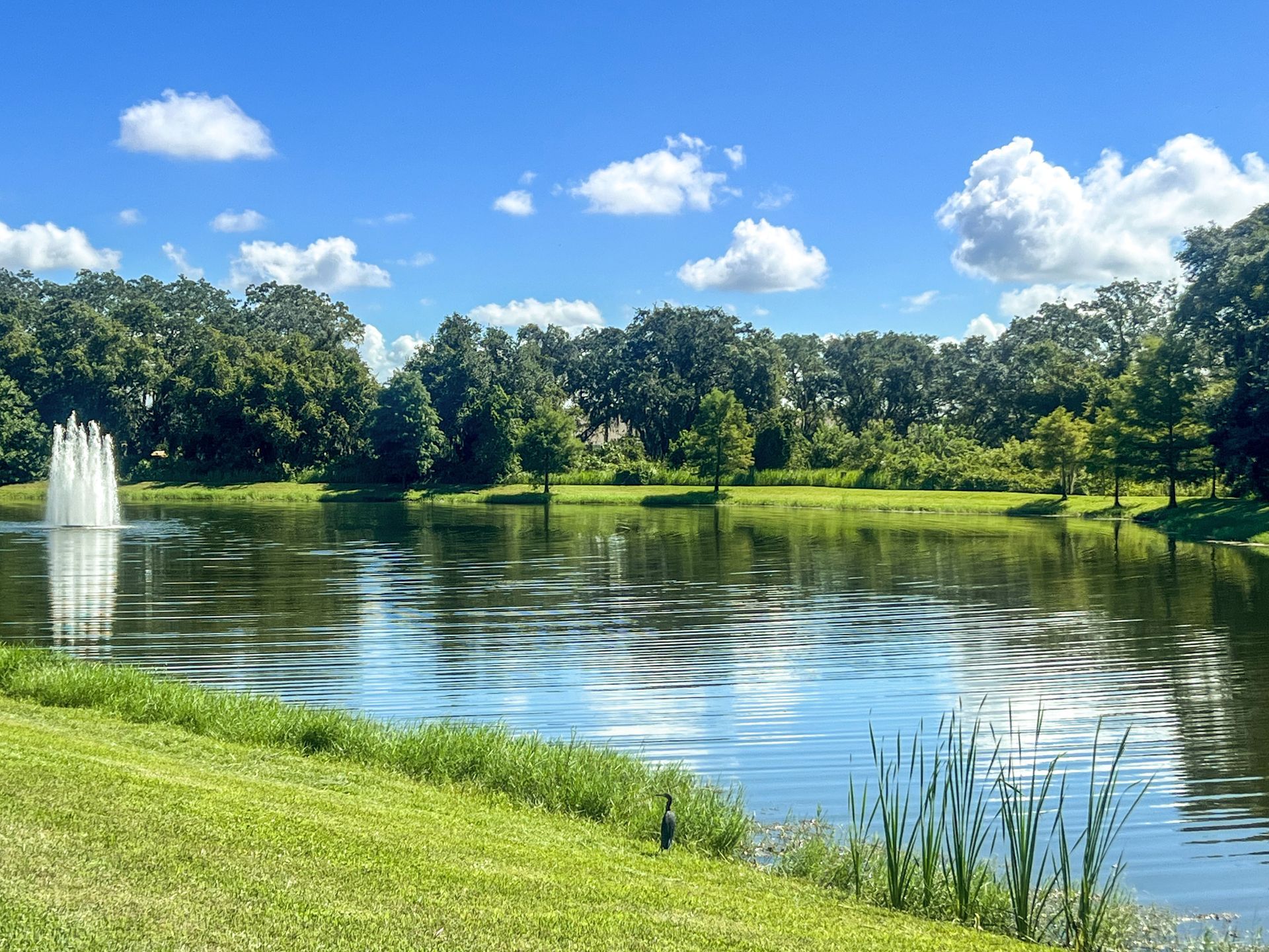lake with a water feature on the property of Creekside Ranch Apartments in Bradenton, FL