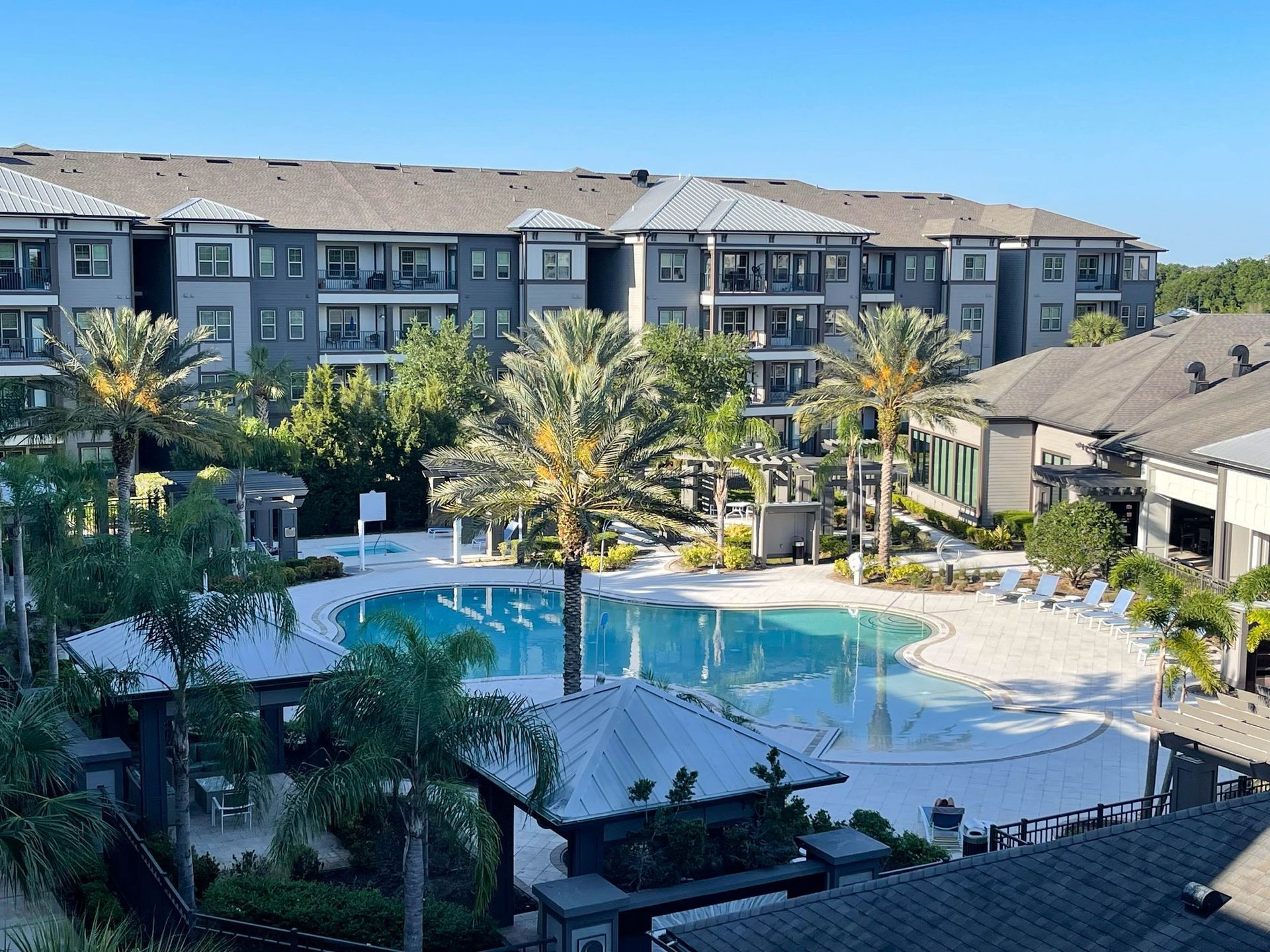 Creekside Ranch Apartments outdoor swimming pool surrouned by a sundeck and palm trees