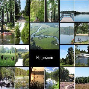 Bildansicht Naturraum im Lipperraum, Grünflächen