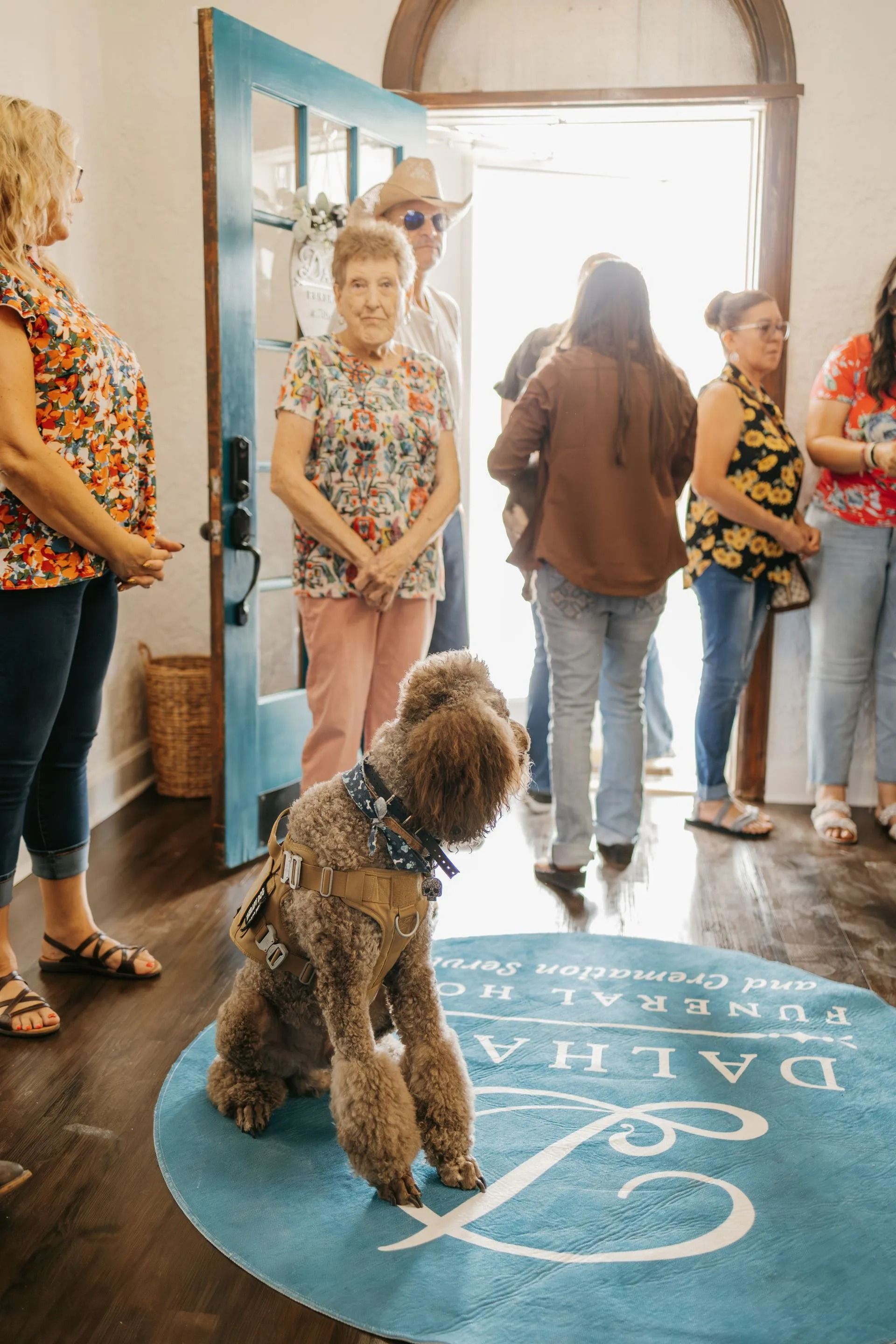 A dog is sitting on a blue rug in front of a group of people.