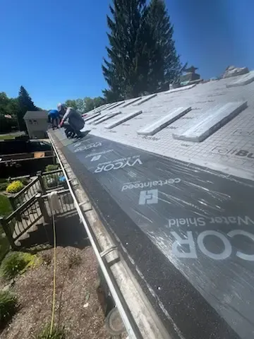 Roofers installing black underlayment on a sloped roof beside a tall evergreen tree