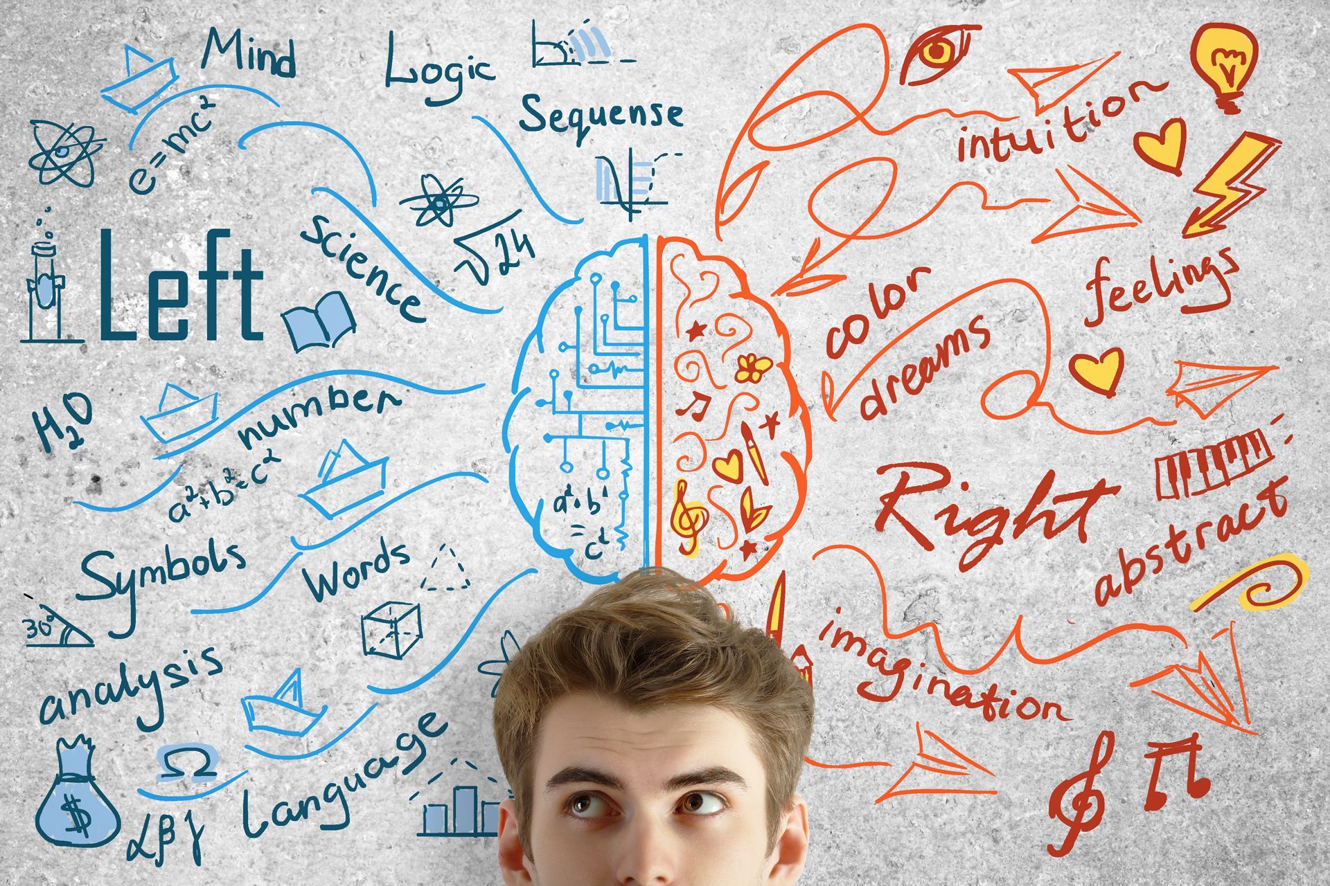 A man is looking at a drawing of a left and right brain on a wall.