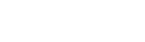 Big News Network logo