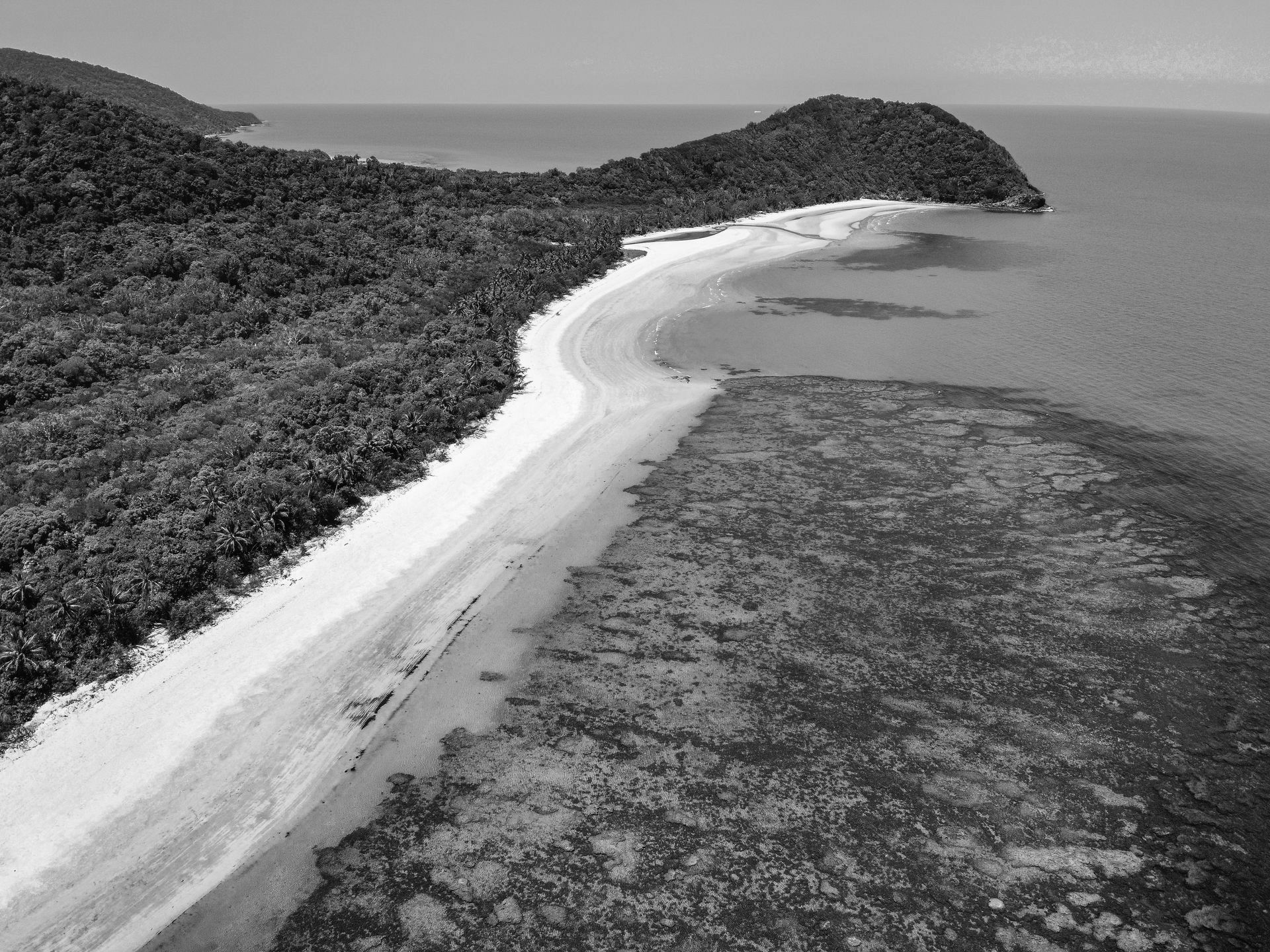 Praia de areia com mata densa e águas calmas.