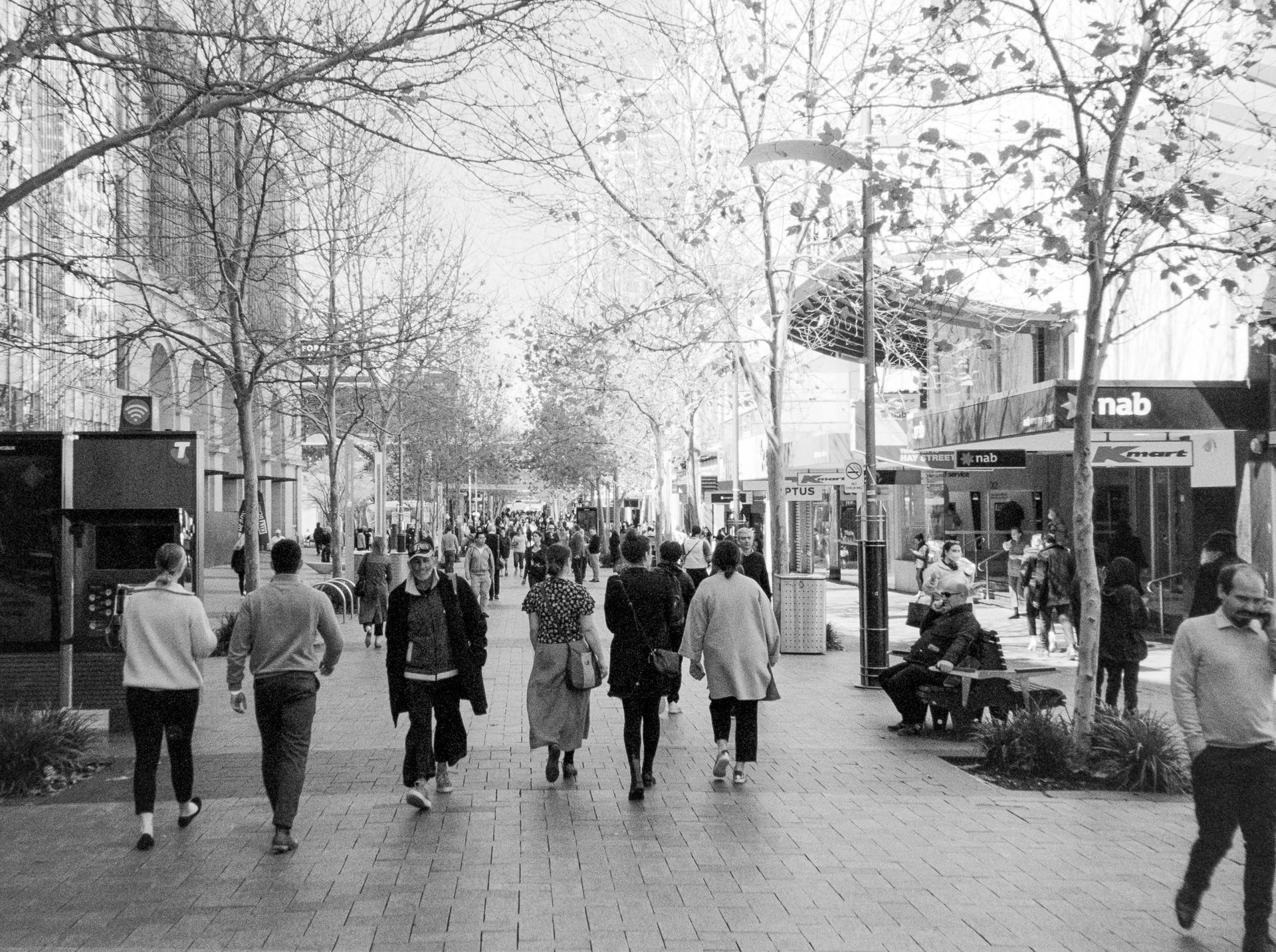 Pessoas caminhando por uma rua de pedestres ladeada por árvores e vitrines no centro de uma cidade.