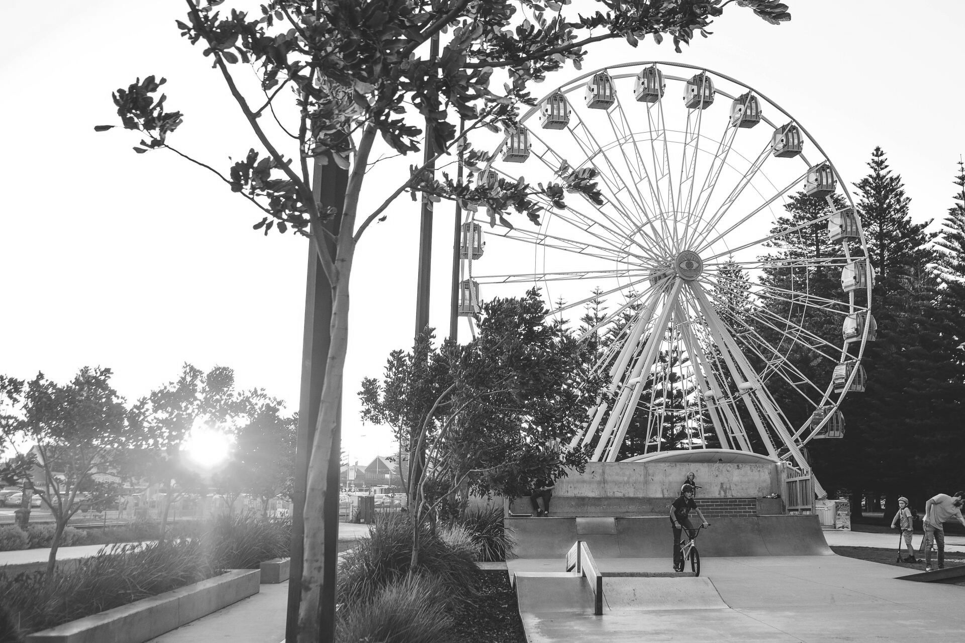 Roda-gigante em um parque com árvores, luz do sol e uma pessoa andando de bicicleta. Preto e branco.