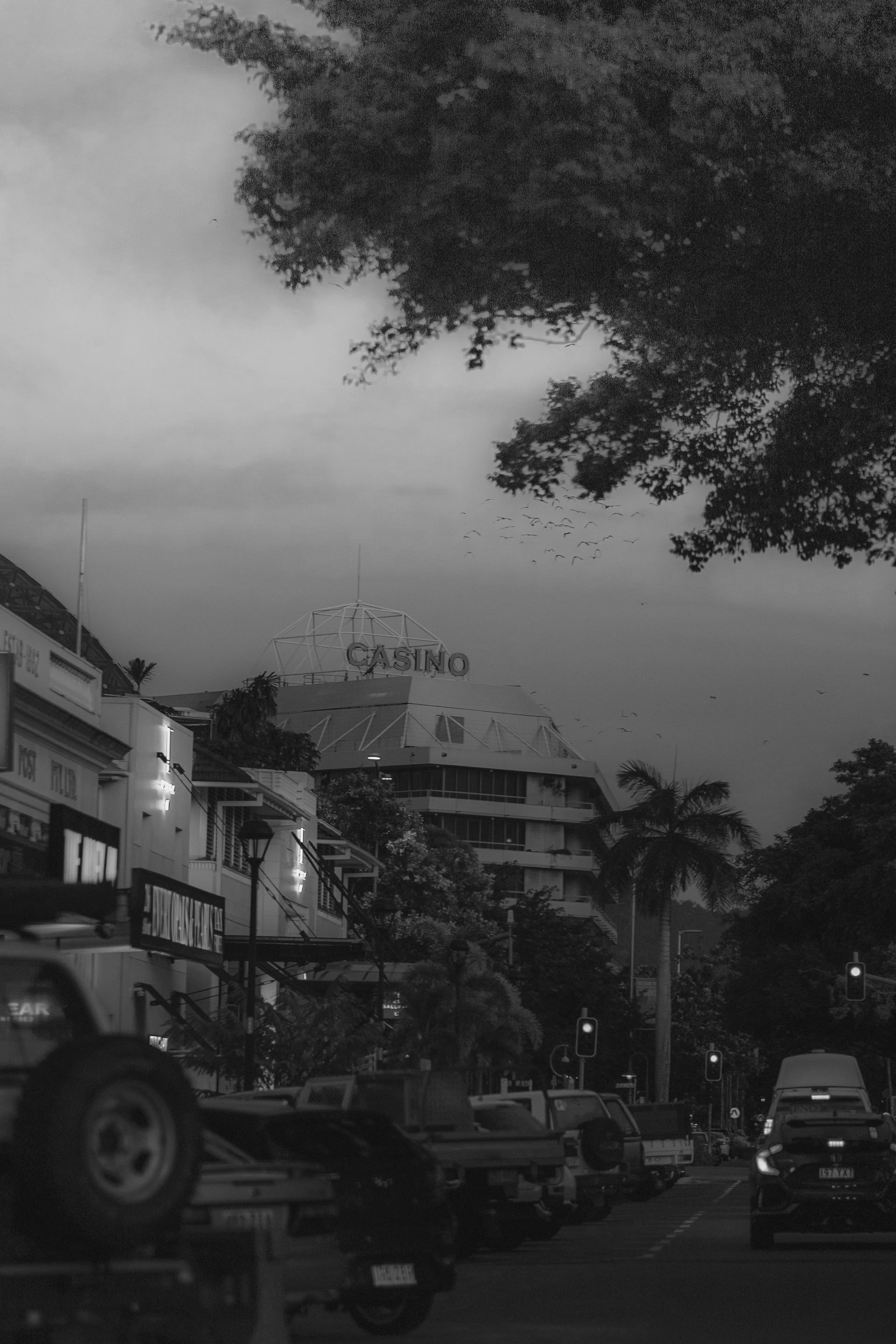 Cena de rua em preto e branco com carros, prédios, árvores e uma placa que diz