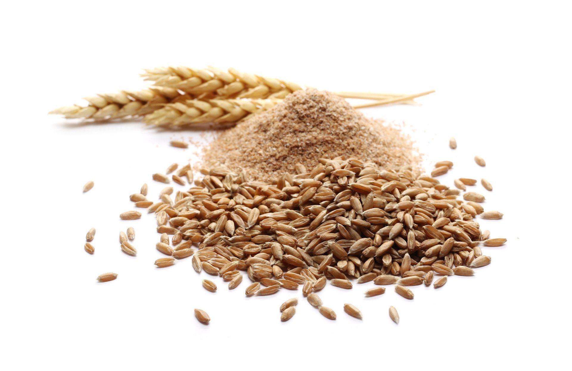 A pile of wheat grains and a wheat ear on a white background.