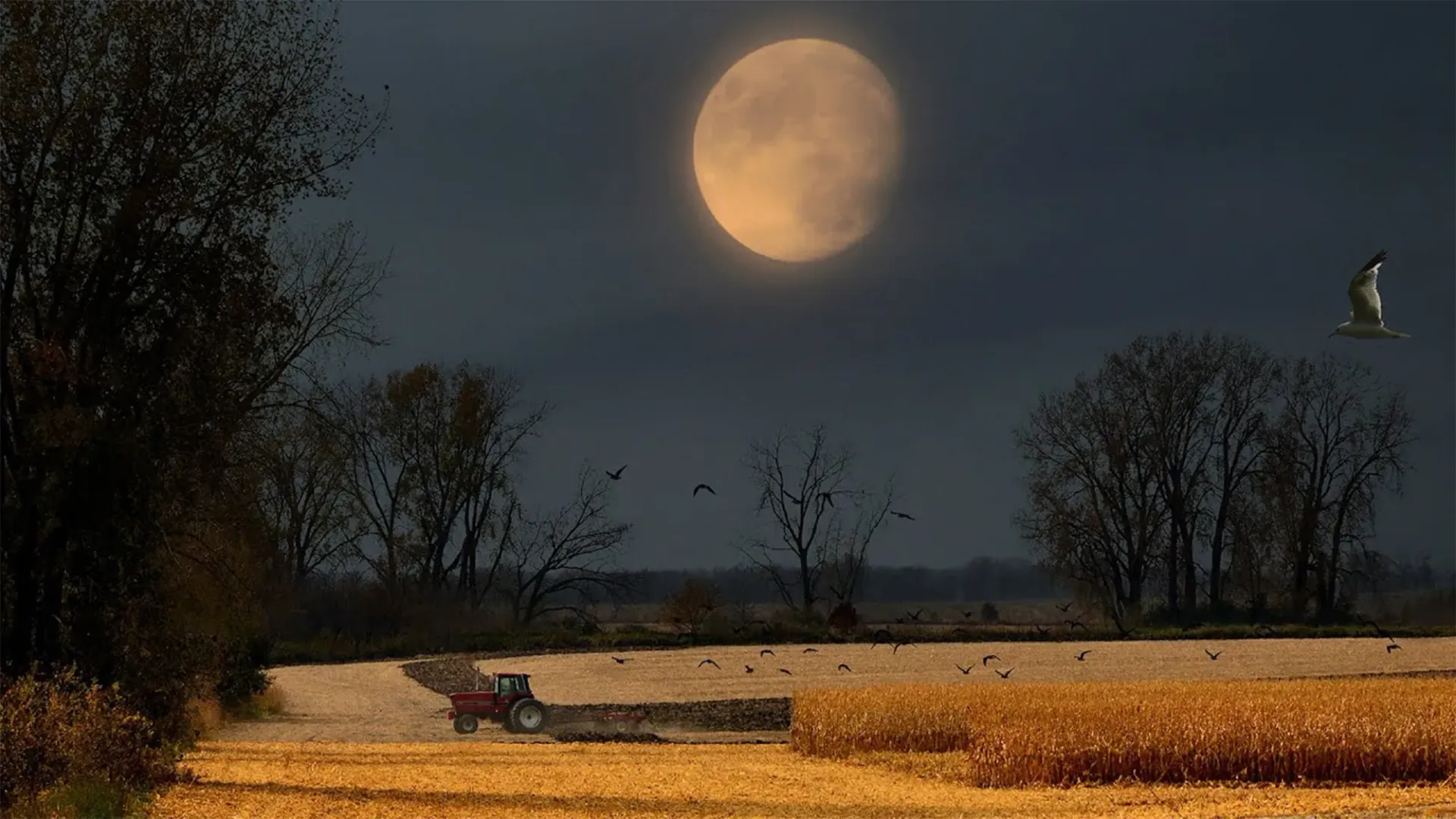 The Harvest Moon on October 1, 2020 in Waseca, Minnesota. Mike Linnihan/NASA