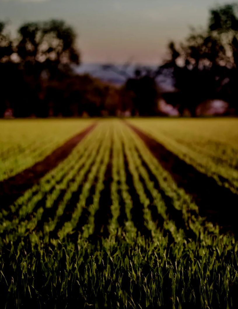 A field of green grass with trees in the background.