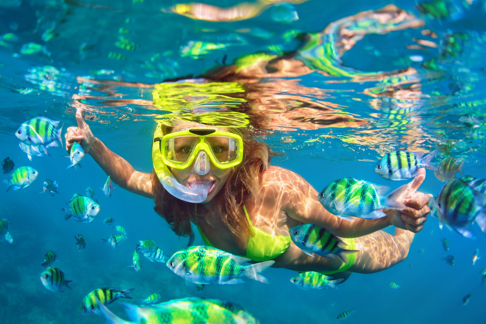 Tripadvisor Teacher Discount. Education Discounts on Tripadvisor Activities.