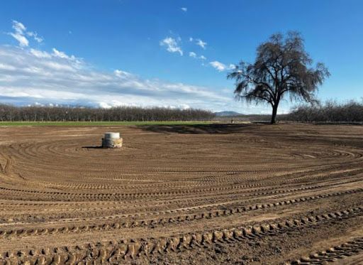 Brown field with tire tracks, small well, bare tree, and distant trees under blue sky.