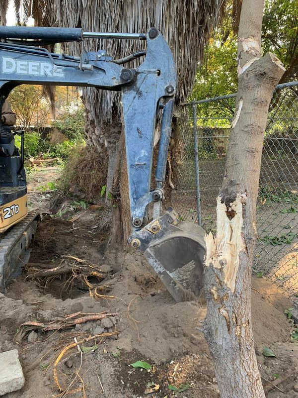 A small excavator digging around the base of a tree trunk near a fence.