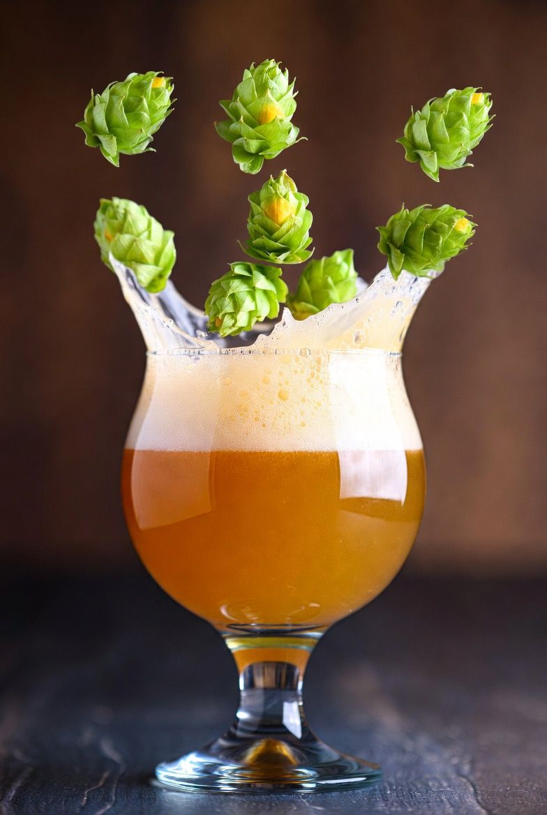 A fresh pint of The Big Nob beer at Pals Brewing Company bar.