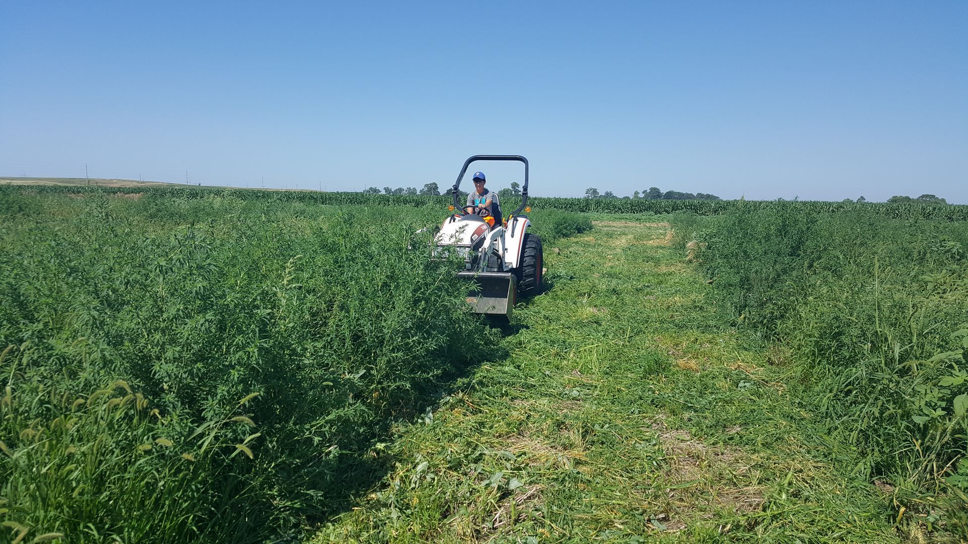 Man driving a utility vehicle through a green field, cutting a path under a blue sky.