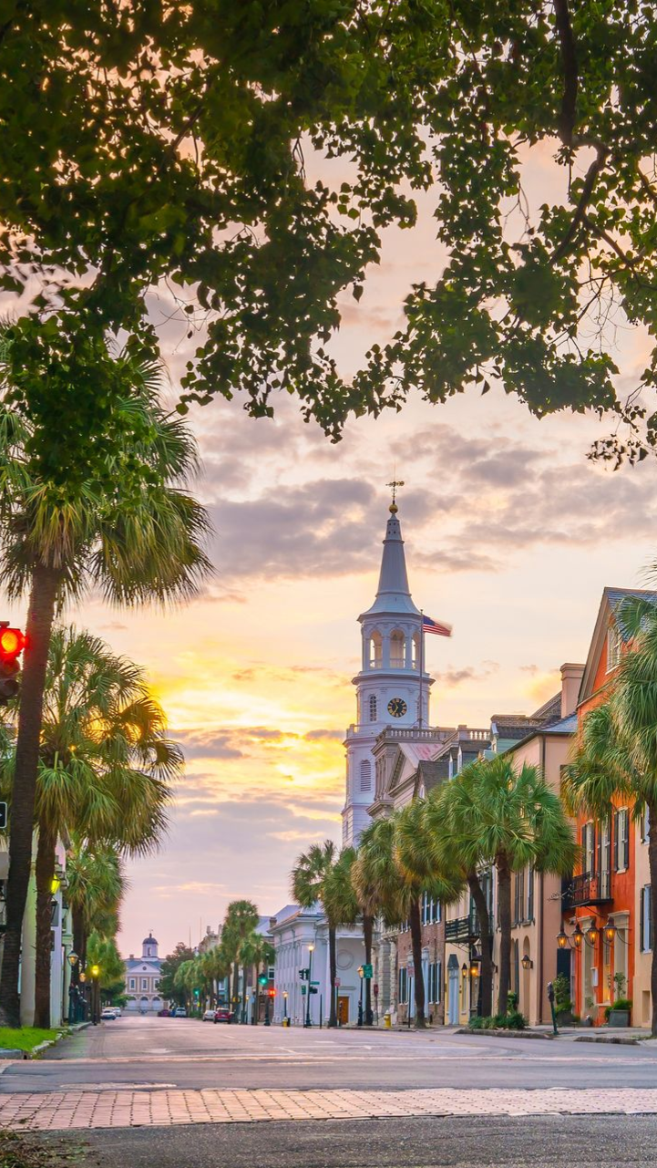 Sunset on a palm-lined street with a church tower and pastel buildings under leafy trees.
