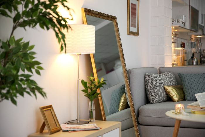 Cozy living room with gray sofa, leaning mirror, floor lamp, and plants beside a side table