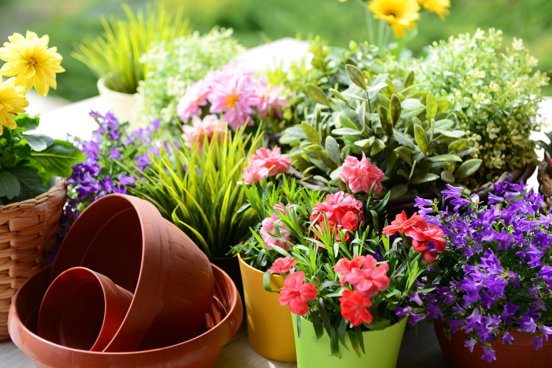 A table topped with potted plants and flowers.