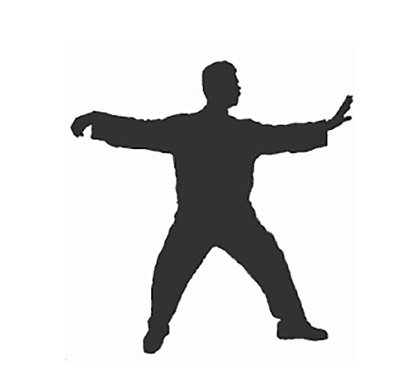 Tai Chi and Chi Kung Training Lessons