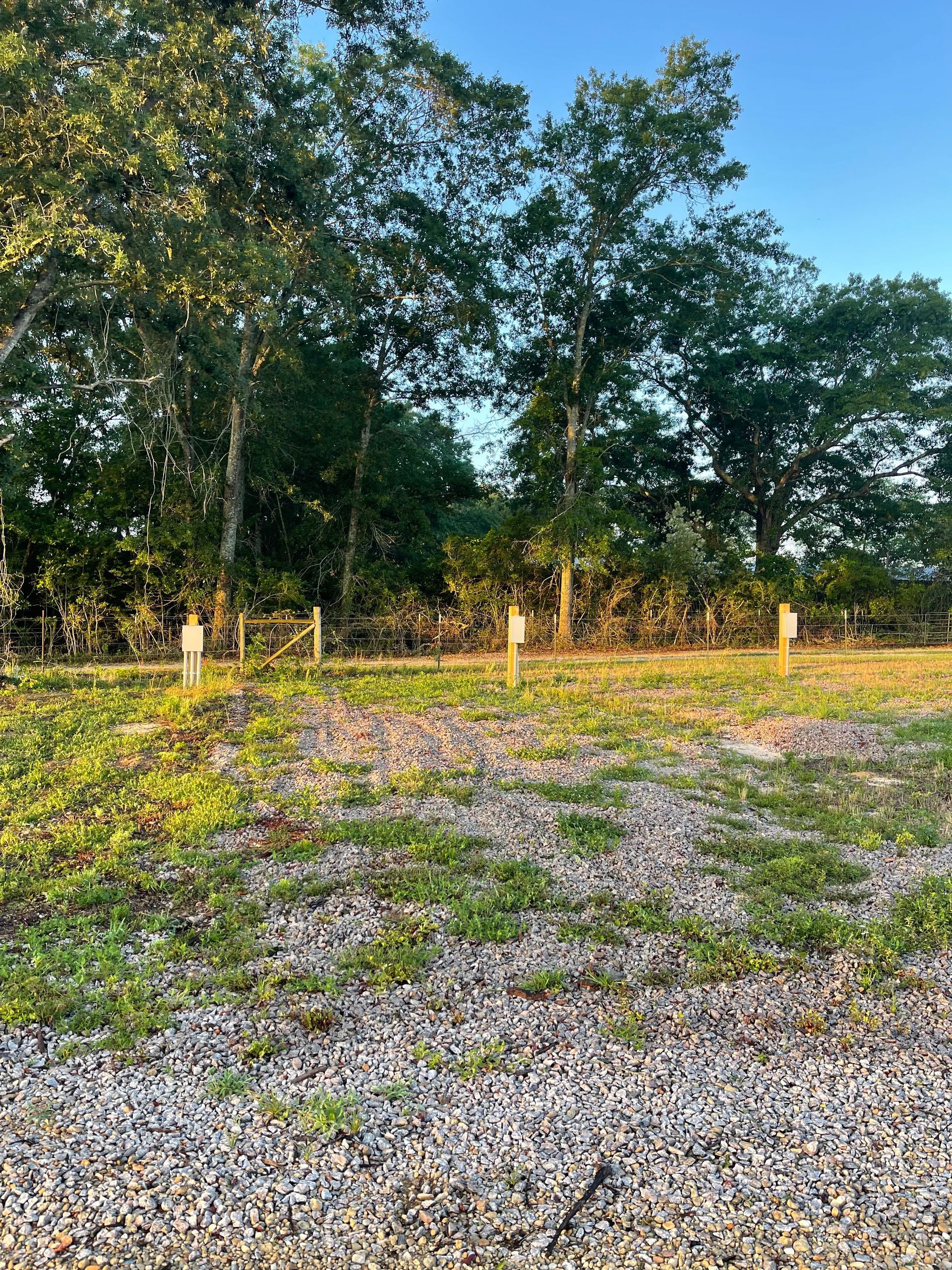 There are trees in the background and a gravel road in the foreground.