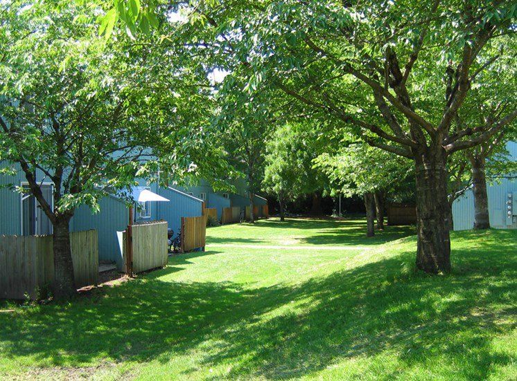 Rainbow Village_Exterior Trees