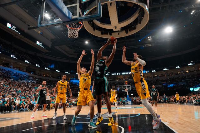 Winnipeg Sea Bears Single Game Tickets Now Available - Basketball Manitoba