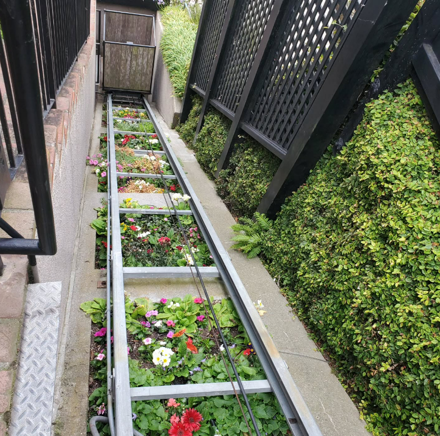 Inclined stair lift track with colorful flowers between track rails, bordered by greenery, and black lattice fencing.