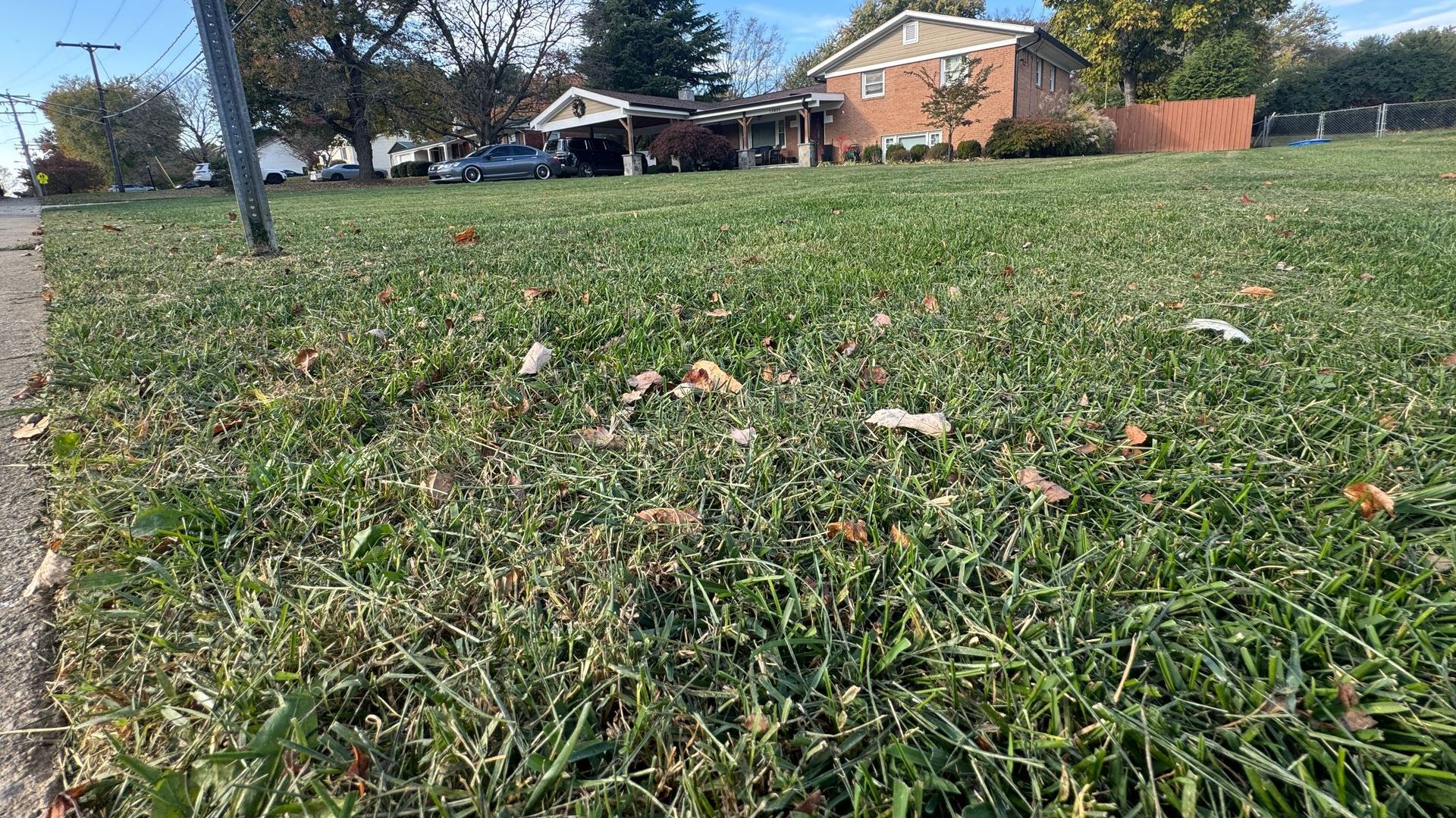 A lush green field of mowed grass with a house in the background.