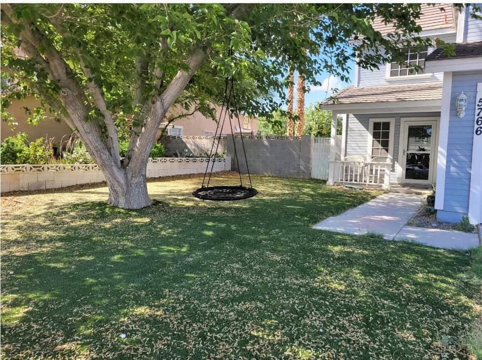 A front yard with a large tree featuring a circular rope swing, a small concrete walkway, and a light blue house exterior.